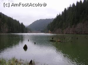 [P48] Lacul Roșu-peisaj » foto by AZE
 - 
<span class="allrVoted glyphicon glyphicon-heart hidden" id="av948759"></span>
<a class="m-l-10 hidden" id="sv948759" onclick="voting_Foto_DelVot(,948759,4656)" role="button">șterge vot <span class="glyphicon glyphicon-remove"></span></a>
<a id="v9948759" class=" c-red"  onclick="voting_Foto_SetVot(948759)" role="button"><span class="glyphicon glyphicon-heart-empty"></span> <b>LIKE</b> = Votează poza</a> <img class="hidden"  id="f948759W9" src="/imagini/loader.gif" border="0" /><span class="AjErrMes hidden" id="e948759ErM"></span>
