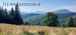 [P11] Transrarăul, un drum spectaculos » foto by Carmen Ion
 - 
<span class="allrVoted glyphicon glyphicon-heart hidden" id="av1387689"></span>
<a class="m-l-10 hidden" id="sv1387689" onclick="voting_Foto_DelVot(,1387689,4656)" role="button">șterge vot <span class="glyphicon glyphicon-remove"></span></a>
<a id="v91387689" class=" c-red"  onclick="voting_Foto_SetVot(1387689)" role="button"><span class="glyphicon glyphicon-heart-empty"></span> <b>LIKE</b> = Votează poza</a> <img class="hidden"  id="f1387689W9" src="/imagini/loader.gif" border="0" /><span class="AjErrMes hidden" id="e1387689ErM"></span>