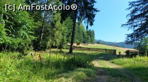 [P14] Transrarăul, un drum spectaculos » foto by Carmen Ion
 - 
<span class="allrVoted glyphicon glyphicon-heart hidden" id="av1387692"></span>
<a class="m-l-10 hidden" id="sv1387692" onclick="voting_Foto_DelVot(,1387692,4656)" role="button">șterge vot <span class="glyphicon glyphicon-remove"></span></a>
<a id="v91387692" class=" c-red"  onclick="voting_Foto_SetVot(1387692)" role="button"><span class="glyphicon glyphicon-heart-empty"></span> <b>LIKE</b> = Votează poza</a> <img class="hidden"  id="f1387692W9" src="/imagini/loader.gif" border="0" /><span class="AjErrMes hidden" id="e1387692ErM"></span>