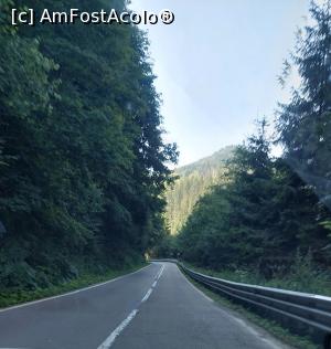 [P17] Intrarea pe Valea Bistriței » foto by Carmen Ion
 - 
<span class="allrVoted glyphicon glyphicon-heart hidden" id="av1387695"></span>
<a class="m-l-10 hidden" id="sv1387695" onclick="voting_Foto_DelVot(,1387695,4656)" role="button">șterge vot <span class="glyphicon glyphicon-remove"></span></a>
<a id="v91387695" class=" c-red"  onclick="voting_Foto_SetVot(1387695)" role="button"><span class="glyphicon glyphicon-heart-empty"></span> <b>LIKE</b> = Votează poza</a> <img class="hidden"  id="f1387695W9" src="/imagini/loader.gif" border="0" /><span class="AjErrMes hidden" id="e1387695ErM"></span>