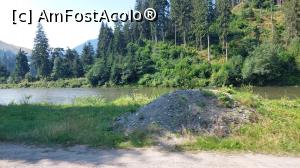 [P19] Valea Bistriței » foto by Carmen Ion
 - 
<span class="allrVoted glyphicon glyphicon-heart hidden" id="av1387697"></span>
<a class="m-l-10 hidden" id="sv1387697" onclick="voting_Foto_DelVot(,1387697,4656)" role="button">șterge vot <span class="glyphicon glyphicon-remove"></span></a>
<a id="v91387697" class=" c-red"  onclick="voting_Foto_SetVot(1387697)" role="button"><span class="glyphicon glyphicon-heart-empty"></span> <b>LIKE</b> = Votează poza</a> <img class="hidden"  id="f1387697W9" src="/imagini/loader.gif" border="0" /><span class="AjErrMes hidden" id="e1387697ErM"></span>