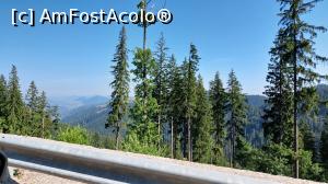 [P04] Transrarăul, un drum spectaculos » foto by Carmen Ion
 - 
<span class="allrVoted glyphicon glyphicon-heart hidden" id="av1387682"></span>
<a class="m-l-10 hidden" id="sv1387682" onclick="voting_Foto_DelVot(,1387682,4656)" role="button">șterge vot <span class="glyphicon glyphicon-remove"></span></a>
<a id="v91387682" class=" c-red"  onclick="voting_Foto_SetVot(1387682)" role="button"><span class="glyphicon glyphicon-heart-empty"></span> <b>LIKE</b> = Votează poza</a> <img class="hidden"  id="f1387682W9" src="/imagini/loader.gif" border="0" /><span class="AjErrMes hidden" id="e1387682ErM"></span>