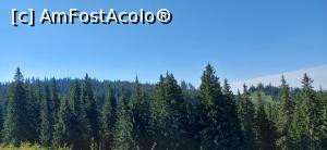 [P05] Transrarăul, un drum spectaculos » foto by Carmen Ion
 - 
<span class="allrVoted glyphicon glyphicon-heart hidden" id="av1387683"></span>
<a class="m-l-10 hidden" id="sv1387683" onclick="voting_Foto_DelVot(,1387683,4656)" role="button">șterge vot <span class="glyphicon glyphicon-remove"></span></a>
<a id="v91387683" class=" c-red"  onclick="voting_Foto_SetVot(1387683)" role="button"><span class="glyphicon glyphicon-heart-empty"></span> <b>LIKE</b> = Votează poza</a> <img class="hidden"  id="f1387683W9" src="/imagini/loader.gif" border="0" /><span class="AjErrMes hidden" id="e1387683ErM"></span>