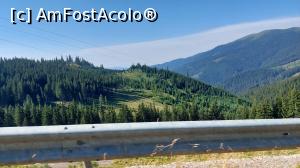 [P07] Transrarăul, un drum spectaculos » foto by Carmen Ion
 - 
<span class="allrVoted glyphicon glyphicon-heart hidden" id="av1387685"></span>
<a class="m-l-10 hidden" id="sv1387685" onclick="voting_Foto_DelVot(,1387685,4656)" role="button">șterge vot <span class="glyphicon glyphicon-remove"></span></a>
<a id="v91387685" class=" c-red"  onclick="voting_Foto_SetVot(1387685)" role="button"><span class="glyphicon glyphicon-heart-empty"></span> <b>LIKE</b> = Votează poza</a> <img class="hidden"  id="f1387685W9" src="/imagini/loader.gif" border="0" /><span class="AjErrMes hidden" id="e1387685ErM"></span>