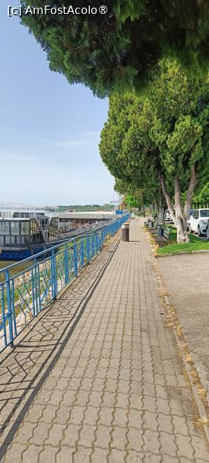[P16] Aleea de promenadă - Giurgiu. » foto by tata123 🔱
 - 
<span class="allrVoted glyphicon glyphicon-heart hidden" id="av1531757"></span>
<a class="m-l-10 hidden" id="sv1531757" onclick="voting_Foto_DelVot(,1531757,4656)" role="button">șterge vot <span class="glyphicon glyphicon-remove"></span></a>
<a id="v91531757" class=" c-red"  onclick="voting_Foto_SetVot(1531757)" role="button"><span class="glyphicon glyphicon-heart-empty"></span> <b>LIKE</b> = Votează poza</a> <img class="hidden"  id="f1531757W9" src="/imagini/loader.gif" border="0" /><span class="AjErrMes hidden" id="e1531757ErM"></span>