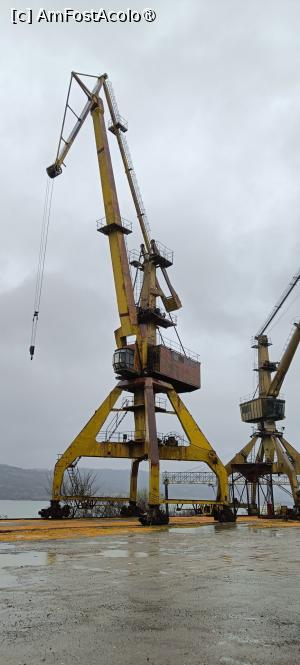 [P21] Macarale în portul Oltenița. » foto by tata123 🔱
 - 
<span class="allrVoted glyphicon glyphicon-heart hidden" id="av1531762"></span>
<a class="m-l-10 hidden" id="sv1531762" onclick="voting_Foto_DelVot(,1531762,4656)" role="button">șterge vot <span class="glyphicon glyphicon-remove"></span></a>
<a id="v91531762" class=" c-red"  onclick="voting_Foto_SetVot(1531762)" role="button"><span class="glyphicon glyphicon-heart-empty"></span> <b>LIKE</b> = Votează poza</a> <img class="hidden"  id="f1531762W9" src="/imagini/loader.gif" border="0" /><span class="AjErrMes hidden" id="e1531762ErM"></span>