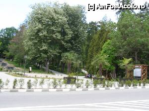 [P46] Parcul central din Statiunea Baile Govora » foto by Tzutzuricu40
 - 
<span class="allrVoted glyphicon glyphicon-heart hidden" id="av427876"></span>
<a class="m-l-10 hidden" id="sv427876" onclick="voting_Foto_DelVot(,427876,4666)" role="button">șterge vot <span class="glyphicon glyphicon-remove"></span></a>
<a id="v9427876" class=" c-red"  onclick="voting_Foto_SetVot(427876)" role="button"><span class="glyphicon glyphicon-heart-empty"></span> <b>LIKE</b> = Votează poza</a> <img class="hidden"  id="f427876W9" src="/imagini/loader.gif" border="0" /><span class="AjErrMes hidden" id="e427876ErM"></span>