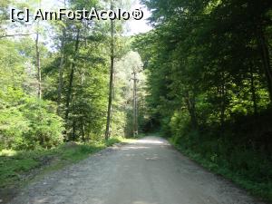 [P37] Am continuat plimbarea noastră spre lăcaşul de cult din poiana Comanca.  » foto by Floryn81
 - 
<span class="allrVoted glyphicon glyphicon-heart hidden" id="av877785"></span>
<a class="m-l-10 hidden" id="sv877785" onclick="voting_Foto_DelVot(,877785,4666)" role="button">șterge vot <span class="glyphicon glyphicon-remove"></span></a>
<a id="v9877785" class=" c-red"  onclick="voting_Foto_SetVot(877785)" role="button"><span class="glyphicon glyphicon-heart-empty"></span> <b>LIKE</b> = Votează poza</a> <img class="hidden"  id="f877785W9" src="/imagini/loader.gif" border="0" /><span class="AjErrMes hidden" id="e877785ErM"></span>