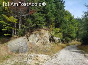 [P08] În acest loc am părăsit drumul forestier, urmând poteca spre dreapta. Am coborât apoi abrupt către intrarea în canion.  » foto by Floryn81
 - 
<span class="allrVoted glyphicon glyphicon-heart hidden" id="av1133875"></span>
<a class="m-l-10 hidden" id="sv1133875" onclick="voting_Foto_DelVot(,1133875,4684)" role="button">șterge vot <span class="glyphicon glyphicon-remove"></span></a>
<a id="v91133875" class=" c-red"  onclick="voting_Foto_SetVot(1133875)" role="button"><span class="glyphicon glyphicon-heart-empty"></span> <b>LIKE</b> = Votează poza</a> <img class="hidden"  id="f1133875W9" src="/imagini/loader.gif" border="0" /><span class="AjErrMes hidden" id="e1133875ErM"></span>