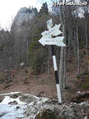 [P17] Bifurcaţia de trasee. În fundal se observă Turnul Căprioarei » foto by Claudiu U.
 - 
<span class="allrVoted glyphicon glyphicon-heart hidden" id="av467044"></span>
<a class="m-l-10 hidden" id="sv467044" onclick="voting_Foto_DelVot(,467044,4696)" role="button">șterge vot <span class="glyphicon glyphicon-remove"></span></a>
<a id="v9467044" class=" c-red"  onclick="voting_Foto_SetVot(467044)" role="button"><span class="glyphicon glyphicon-heart-empty"></span> <b>LIKE</b> = Votează poza</a> <img class="hidden"  id="f467044W9" src="/imagini/loader.gif" border="0" /><span class="AjErrMes hidden" id="e467044ErM"></span>