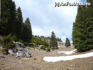 [P20] Fâşia de păşune din dreptul Văii Pârâului Roşu » foto by Claudiu U.
 - 
<span class="allrVoted glyphicon glyphicon-heart hidden" id="av467048"></span>
<a class="m-l-10 hidden" id="sv467048" onclick="voting_Foto_DelVot(,467048,4696)" role="button">șterge vot <span class="glyphicon glyphicon-remove"></span></a>
<a id="v9467048" class=" c-red"  onclick="voting_Foto_SetVot(467048)" role="button"><span class="glyphicon glyphicon-heart-empty"></span> <b>LIKE</b> = Votează poza</a> <img class="hidden"  id="f467048W9" src="/imagini/loader.gif" border="0" /><span class="AjErrMes hidden" id="e467048ErM"></span>