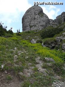 [P12] Încă un pic de urcuş şi ajungem în Şaua Tigăilor (lângă acea stâncă)  » foto by Claudiu U.
 - 
<span class="allrVoted glyphicon glyphicon-heart hidden" id="av489181"></span>
<a class="m-l-10 hidden" id="sv489181" onclick="voting_Foto_DelVot(,489181,4696)" role="button">șterge vot <span class="glyphicon glyphicon-remove"></span></a>
<a id="v9489181" class=" c-red"  onclick="voting_Foto_SetVot(489181)" role="button"><span class="glyphicon glyphicon-heart-empty"></span> <b>LIKE</b> = Votează poza</a> <img class="hidden"  id="f489181W9" src="/imagini/loader.gif" border="0" /><span class="AjErrMes hidden" id="e489181ErM"></span>