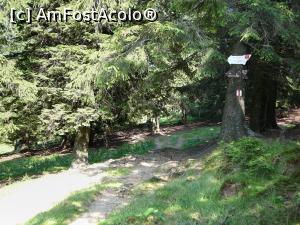 [P10] Punctul de intersecţie cu celălalt traseu » foto by Claudiu U.
 - 
<span class="allrVoted glyphicon glyphicon-heart hidden" id="av932783"></span>
<a class="m-l-10 hidden" id="sv932783" onclick="voting_Foto_DelVot(,932783,4696)" role="button">șterge vot <span class="glyphicon glyphicon-remove"></span></a>
<a id="v9932783" class=" c-red"  onclick="voting_Foto_SetVot(932783)" role="button"><span class="glyphicon glyphicon-heart-empty"></span> <b>LIKE</b> = Votează poza</a> <img class="hidden"  id="f932783W9" src="/imagini/loader.gif" border="0" /><span class="AjErrMes hidden" id="e932783ErM"></span>