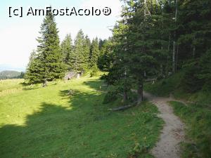 [P11] Poteca ce duce către Izvorul Hoţului » foto by Claudiu U.
 - 
<span class="allrVoted glyphicon glyphicon-heart hidden" id="av932784"></span>
<a class="m-l-10 hidden" id="sv932784" onclick="voting_Foto_DelVot(,932784,4696)" role="button">șterge vot <span class="glyphicon glyphicon-remove"></span></a>
<a id="v9932784" class=" c-red"  onclick="voting_Foto_SetVot(932784)" role="button"><span class="glyphicon glyphicon-heart-empty"></span> <b>LIKE</b> = Votează poza</a> <img class="hidden"  id="f932784W9" src="/imagini/loader.gif" border="0" /><span class="AjErrMes hidden" id="e932784ErM"></span>