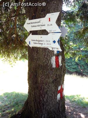 [P13] Săgeţile indicatoare amplasate în Şaua Chiruşca » foto by Claudiu U.
 - 
<span class="allrVoted glyphicon glyphicon-heart hidden" id="av932786"></span>
<a class="m-l-10 hidden" id="sv932786" onclick="voting_Foto_DelVot(,932786,4696)" role="button">șterge vot <span class="glyphicon glyphicon-remove"></span></a>
<a id="v9932786" class=" c-red"  onclick="voting_Foto_SetVot(932786)" role="button"><span class="glyphicon glyphicon-heart-empty"></span> <b>LIKE</b> = Votează poza</a> <img class="hidden"  id="f932786W9" src="/imagini/loader.gif" border="0" /><span class="AjErrMes hidden" id="e932786ErM"></span>