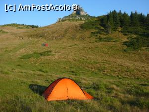 [P15] Primele raze de soare ale dimineţii!  » foto by Claudiu U.
 - 
<span class="allrVoted glyphicon glyphicon-heart hidden" id="av932788"></span>
<a class="m-l-10 hidden" id="sv932788" onclick="voting_Foto_DelVot(,932788,4696)" role="button">șterge vot <span class="glyphicon glyphicon-remove"></span></a>
<a id="v9932788" class=" c-red"  onclick="voting_Foto_SetVot(932788)" role="button"><span class="glyphicon glyphicon-heart-empty"></span> <b>LIKE</b> = Votează poza</a> <img class="hidden"  id="f932788W9" src="/imagini/loader.gif" border="0" /><span class="AjErrMes hidden" id="e932788ErM"></span>