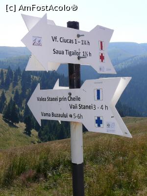 [P16] Săgeţile indicatoare amplasate lângă cabana Ciucaş » foto by Claudiu U.
 - 
<span class="allrVoted glyphicon glyphicon-heart hidden" id="av932789"></span>
<a class="m-l-10 hidden" id="sv932789" onclick="voting_Foto_DelVot(,932789,4696)" role="button">șterge vot <span class="glyphicon glyphicon-remove"></span></a>
<a id="v9932789" class=" c-red"  onclick="voting_Foto_SetVot(932789)" role="button"><span class="glyphicon glyphicon-heart-empty"></span> <b>LIKE</b> = Votează poza</a> <img class="hidden"  id="f932789W9" src="/imagini/loader.gif" border="0" /><span class="AjErrMes hidden" id="e932789ErM"></span>