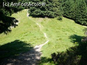 [P17] Am revenit în mica poiană din Şaua Chiruşca » foto by Claudiu U.
 - 
<span class="allrVoted glyphicon glyphicon-heart hidden" id="av932790"></span>
<a class="m-l-10 hidden" id="sv932790" onclick="voting_Foto_DelVot(,932790,4696)" role="button">șterge vot <span class="glyphicon glyphicon-remove"></span></a>
<a id="v9932790" class=" c-red"  onclick="voting_Foto_SetVot(932790)" role="button"><span class="glyphicon glyphicon-heart-empty"></span> <b>LIKE</b> = Votează poza</a> <img class="hidden"  id="f932790W9" src="/imagini/loader.gif" border="0" /><span class="AjErrMes hidden" id="e932790ErM"></span>