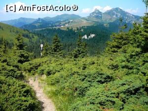 [P18] Urcând către Şaua Gropşoarele » foto by Claudiu U.
 - 
<span class="allrVoted glyphicon glyphicon-heart hidden" id="av932791"></span>
<a class="m-l-10 hidden" id="sv932791" onclick="voting_Foto_DelVot(,932791,4696)" role="button">șterge vot <span class="glyphicon glyphicon-remove"></span></a>
<a id="v9932791" class=" c-red"  onclick="voting_Foto_SetVot(932791)" role="button"><span class="glyphicon glyphicon-heart-empty"></span> <b>LIKE</b> = Votează poza</a> <img class="hidden"  id="f932791W9" src="/imagini/loader.gif" border="0" /><span class="AjErrMes hidden" id="e932791ErM"></span>