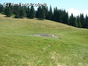 [P22] Balta (aproape secată) din Curmătura Stânei » foto by Claudiu U.
 - 
<span class="allrVoted glyphicon glyphicon-heart hidden" id="av932795"></span>
<a class="m-l-10 hidden" id="sv932795" onclick="voting_Foto_DelVot(,932795,4696)" role="button">șterge vot <span class="glyphicon glyphicon-remove"></span></a>
<a id="v9932795" class=" c-red"  onclick="voting_Foto_SetVot(932795)" role="button"><span class="glyphicon glyphicon-heart-empty"></span> <b>LIKE</b> = Votează poza</a> <img class="hidden"  id="f932795W9" src="/imagini/loader.gif" border="0" /><span class="AjErrMes hidden" id="e932795ErM"></span>