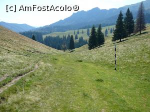 [P23] Coborârea de la „baltă” către firul văii » foto by Claudiu U.
 - 
<span class="allrVoted glyphicon glyphicon-heart hidden" id="av932796"></span>
<a class="m-l-10 hidden" id="sv932796" onclick="voting_Foto_DelVot(,932796,4696)" role="button">șterge vot <span class="glyphicon glyphicon-remove"></span></a>
<a id="v9932796" class=" c-red"  onclick="voting_Foto_SetVot(932796)" role="button"><span class="glyphicon glyphicon-heart-empty"></span> <b>LIKE</b> = Votează poza</a> <img class="hidden"  id="f932796W9" src="/imagini/loader.gif" border="0" /><span class="AjErrMes hidden" id="e932796ErM"></span>