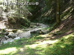 [P24] Întrarea pe firul văii » foto by Claudiu U.
 - 
<span class="allrVoted glyphicon glyphicon-heart hidden" id="av932797"></span>
<a class="m-l-10 hidden" id="sv932797" onclick="voting_Foto_DelVot(,932797,4696)" role="button">șterge vot <span class="glyphicon glyphicon-remove"></span></a>
<a id="v9932797" class=" c-red"  onclick="voting_Foto_SetVot(932797)" role="button"><span class="glyphicon glyphicon-heart-empty"></span> <b>LIKE</b> = Votează poza</a> <img class="hidden"  id="f932797W9" src="/imagini/loader.gif" border="0" /><span class="AjErrMes hidden" id="e932797ErM"></span>