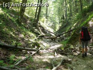 [P25] Pe valea răvăşită de viituri » foto by Claudiu U.
 - 
<span class="allrVoted glyphicon glyphicon-heart hidden" id="av932798"></span>
<a class="m-l-10 hidden" id="sv932798" onclick="voting_Foto_DelVot(,932798,4696)" role="button">șterge vot <span class="glyphicon glyphicon-remove"></span></a>
<a id="v9932798" class=" c-red"  onclick="voting_Foto_SetVot(932798)" role="button"><span class="glyphicon glyphicon-heart-empty"></span> <b>LIKE</b> = Votează poza</a> <img class="hidden"  id="f932798W9" src="/imagini/loader.gif" border="0" /><span class="AjErrMes hidden" id="e932798ErM"></span>