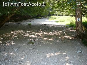 [P26] Zone largi, acoperite de pietriş » foto by Claudiu U.
 - 
<span class="allrVoted glyphicon glyphicon-heart hidden" id="av932799"></span>
<a class="m-l-10 hidden" id="sv932799" onclick="voting_Foto_DelVot(,932799,4696)" role="button">șterge vot <span class="glyphicon glyphicon-remove"></span></a>
<a id="v9932799" class=" c-red"  onclick="voting_Foto_SetVot(932799)" role="button"><span class="glyphicon glyphicon-heart-empty"></span> <b>LIKE</b> = Votează poza</a> <img class="hidden"  id="f932799W9" src="/imagini/loader.gif" border="0" /><span class="AjErrMes hidden" id="e932799ErM"></span>