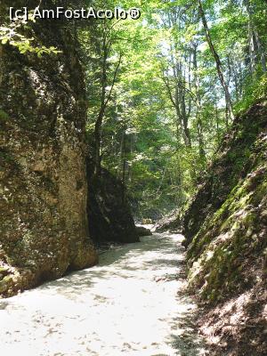 [P27] Intrarea în Cheile Văii Stânei » foto by Claudiu U.
 - 
<span class="allrVoted glyphicon glyphicon-heart hidden" id="av932800"></span>
<a class="m-l-10 hidden" id="sv932800" onclick="voting_Foto_DelVot(,932800,4696)" role="button">șterge vot <span class="glyphicon glyphicon-remove"></span></a>
<a id="v9932800" class=" c-red"  onclick="voting_Foto_SetVot(932800)" role="button"><span class="glyphicon glyphicon-heart-empty"></span> <b>LIKE</b> = Votează poza</a> <img class="hidden"  id="f932800W9" src="/imagini/loader.gif" border="0" /><span class="AjErrMes hidden" id="e932800ErM"></span>