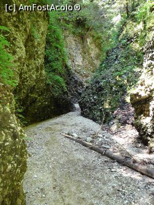 [P28] Prin Cheile Văii Stânei » foto by Claudiu U.
 - 
<span class="allrVoted glyphicon glyphicon-heart hidden" id="av932801"></span>
<a class="m-l-10 hidden" id="sv932801" onclick="voting_Foto_DelVot(,932801,4696)" role="button">șterge vot <span class="glyphicon glyphicon-remove"></span></a>
<a id="v9932801" class=" c-red"  onclick="voting_Foto_SetVot(932801)" role="button"><span class="glyphicon glyphicon-heart-empty"></span> <b>LIKE</b> = Votează poza</a> <img class="hidden"  id="f932801W9" src="/imagini/loader.gif" border="0" /><span class="AjErrMes hidden" id="e932801ErM"></span>