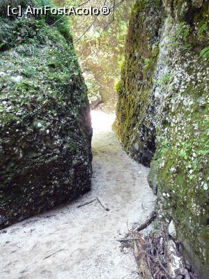 [P29] Prin pasajele înguste ale Cheilor » foto by Claudiu U.
 - 
<span class="allrVoted glyphicon glyphicon-heart hidden" id="av932802"></span>
<a class="m-l-10 hidden" id="sv932802" onclick="voting_Foto_DelVot(,932802,4696)" role="button">șterge vot <span class="glyphicon glyphicon-remove"></span></a>
<a id="v9932802" class=" c-red"  onclick="voting_Foto_SetVot(932802)" role="button"><span class="glyphicon glyphicon-heart-empty"></span> <b>LIKE</b> = Votează poza</a> <img class="hidden"  id="f932802W9" src="/imagini/loader.gif" border="0" /><span class="AjErrMes hidden" id="e932802ErM"></span>
