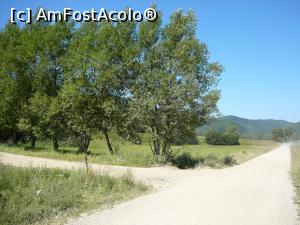 [P03] Locul unde am părăsit drumul forestier » foto by Claudiu U.
 - 
<span class="allrVoted glyphicon glyphicon-heart hidden" id="av932776"></span>
<a class="m-l-10 hidden" id="sv932776" onclick="voting_Foto_DelVot(,932776,4696)" role="button">șterge vot <span class="glyphicon glyphicon-remove"></span></a>
<a id="v9932776" class=" c-red"  onclick="voting_Foto_SetVot(932776)" role="button"><span class="glyphicon glyphicon-heart-empty"></span> <b>LIKE</b> = Votează poza</a> <img class="hidden"  id="f932776W9" src="/imagini/loader.gif" border="0" /><span class="AjErrMes hidden" id="e932776ErM"></span>