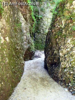 [P30] Prin Cheile Văii Stânei » foto by Claudiu U.
 - 
<span class="allrVoted glyphicon glyphicon-heart hidden" id="av932803"></span>
<a class="m-l-10 hidden" id="sv932803" onclick="voting_Foto_DelVot(,932803,4696)" role="button">șterge vot <span class="glyphicon glyphicon-remove"></span></a>
<a id="v9932803" class=" c-red"  onclick="voting_Foto_SetVot(932803)" role="button"><span class="glyphicon glyphicon-heart-empty"></span> <b>LIKE</b> = Votează poza</a> <img class="hidden"  id="f932803W9" src="/imagini/loader.gif" border="0" /><span class="AjErrMes hidden" id="e932803ErM"></span>