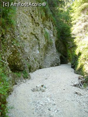 [P31] Prin Cheile Văii Stânei » foto by Claudiu U.
 - 
<span class="allrVoted glyphicon glyphicon-heart hidden" id="av932804"></span>
<a class="m-l-10 hidden" id="sv932804" onclick="voting_Foto_DelVot(,932804,4696)" role="button">șterge vot <span class="glyphicon glyphicon-remove"></span></a>
<a id="v9932804" class=" c-red"  onclick="voting_Foto_SetVot(932804)" role="button"><span class="glyphicon glyphicon-heart-empty"></span> <b>LIKE</b> = Votează poza</a> <img class="hidden"  id="f932804W9" src="/imagini/loader.gif" border="0" /><span class="AjErrMes hidden" id="e932804ErM"></span>