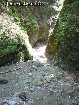 [P32] Prin Cheile Văii Stânei » foto by Claudiu U.
 - 
<span class="allrVoted glyphicon glyphicon-heart hidden" id="av932805"></span>
<a class="m-l-10 hidden" id="sv932805" onclick="voting_Foto_DelVot(,932805,4696)" role="button">șterge vot <span class="glyphicon glyphicon-remove"></span></a>
<a id="v9932805" class=" c-red"  onclick="voting_Foto_SetVot(932805)" role="button"><span class="glyphicon glyphicon-heart-empty"></span> <b>LIKE</b> = Votează poza</a> <img class="hidden"  id="f932805W9" src="/imagini/loader.gif" border="0" /><span class="AjErrMes hidden" id="e932805ErM"></span>