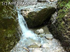 [P33] Pragul de piatră ce trebuie coborât » foto by Claudiu U.
 - 
<span class="allrVoted glyphicon glyphicon-heart hidden" id="av932806"></span>
<a class="m-l-10 hidden" id="sv932806" onclick="voting_Foto_DelVot(,932806,4696)" role="button">șterge vot <span class="glyphicon glyphicon-remove"></span></a>
<a id="v9932806" class=" c-red"  onclick="voting_Foto_SetVot(932806)" role="button"><span class="glyphicon glyphicon-heart-empty"></span> <b>LIKE</b> = Votează poza</a> <img class="hidden"  id="f932806W9" src="/imagini/loader.gif" border="0" /><span class="AjErrMes hidden" id="e932806ErM"></span>