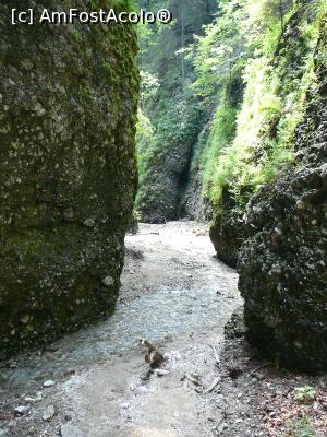 [P34] Prin Cheile Văii Stânei » foto by Claudiu U.
 - 
<span class="allrVoted glyphicon glyphicon-heart hidden" id="av932807"></span>
<a class="m-l-10 hidden" id="sv932807" onclick="voting_Foto_DelVot(,932807,4696)" role="button">șterge vot <span class="glyphicon glyphicon-remove"></span></a>
<a id="v9932807" class=" c-red"  onclick="voting_Foto_SetVot(932807)" role="button"><span class="glyphicon glyphicon-heart-empty"></span> <b>LIKE</b> = Votează poza</a> <img class="hidden"  id="f932807W9" src="/imagini/loader.gif" border="0" /><span class="AjErrMes hidden" id="e932807ErM"></span>
