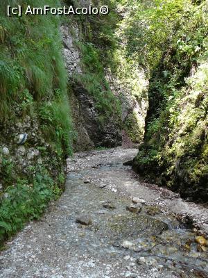 [P35] Prin Cheile Văii Stânei » foto by Claudiu U.
 - 
<span class="allrVoted glyphicon glyphicon-heart hidden" id="av932808"></span>
<a class="m-l-10 hidden" id="sv932808" onclick="voting_Foto_DelVot(,932808,4696)" role="button">șterge vot <span class="glyphicon glyphicon-remove"></span></a>
<a id="v9932808" class=" c-red"  onclick="voting_Foto_SetVot(932808)" role="button"><span class="glyphicon glyphicon-heart-empty"></span> <b>LIKE</b> = Votează poza</a> <img class="hidden"  id="f932808W9" src="/imagini/loader.gif" border="0" /><span class="AjErrMes hidden" id="e932808ErM"></span>