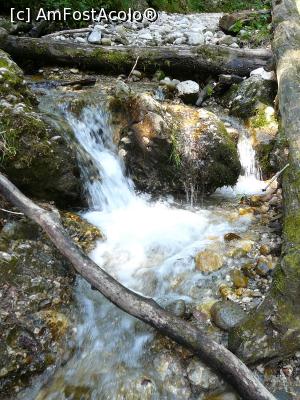 [P36] Prin Cheile Văii Stânei » foto by Claudiu U.
 - 
<span class="allrVoted glyphicon glyphicon-heart hidden" id="av932809"></span>
<a class="m-l-10 hidden" id="sv932809" onclick="voting_Foto_DelVot(,932809,4696)" role="button">șterge vot <span class="glyphicon glyphicon-remove"></span></a>
<a id="v9932809" class=" c-red"  onclick="voting_Foto_SetVot(932809)" role="button"><span class="glyphicon glyphicon-heart-empty"></span> <b>LIKE</b> = Votează poza</a> <img class="hidden"  id="f932809W9" src="/imagini/loader.gif" border="0" /><span class="AjErrMes hidden" id="e932809ErM"></span>