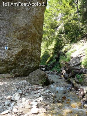 [P37] Ultima stâncă a îngustului canion » foto by Claudiu U.
 - 
<span class="allrVoted glyphicon glyphicon-heart hidden" id="av932810"></span>
<a class="m-l-10 hidden" id="sv932810" onclick="voting_Foto_DelVot(,932810,4696)" role="button">șterge vot <span class="glyphicon glyphicon-remove"></span></a>
<a id="v9932810" class=" c-red"  onclick="voting_Foto_SetVot(932810)" role="button"><span class="glyphicon glyphicon-heart-empty"></span> <b>LIKE</b> = Votează poza</a> <img class="hidden"  id="f932810W9" src="/imagini/loader.gif" border="0" /><span class="AjErrMes hidden" id="e932810ErM"></span>