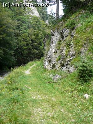 [P38] Poteca, la ieşirea din chei » foto by Claudiu U.
 - 
<span class="allrVoted glyphicon glyphicon-heart hidden" id="av932811"></span>
<a class="m-l-10 hidden" id="sv932811" onclick="voting_Foto_DelVot(,932811,4696)" role="button">șterge vot <span class="glyphicon glyphicon-remove"></span></a>
<a id="v9932811" class=" c-red"  onclick="voting_Foto_SetVot(932811)" role="button"><span class="glyphicon glyphicon-heart-empty"></span> <b>LIKE</b> = Votează poza</a> <img class="hidden"  id="f932811W9" src="/imagini/loader.gif" border="0" /><span class="AjErrMes hidden" id="e932811ErM"></span>