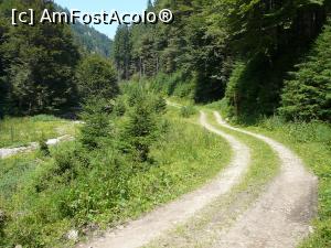 [P39] De aici încolo urmăm drumul!  » foto by Claudiu U.
 - 
<span class="allrVoted glyphicon glyphicon-heart hidden" id="av932812"></span>
<a class="m-l-10 hidden" id="sv932812" onclick="voting_Foto_DelVot(,932812,4696)" role="button">șterge vot <span class="glyphicon glyphicon-remove"></span></a>
<a id="v9932812" class=" c-red"  onclick="voting_Foto_SetVot(932812)" role="button"><span class="glyphicon glyphicon-heart-empty"></span> <b>LIKE</b> = Votează poza</a> <img class="hidden"  id="f932812W9" src="/imagini/loader.gif" border="0" /><span class="AjErrMes hidden" id="e932812ErM"></span>