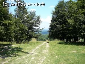 [P04] Urcând pe păşune, printre copaci răzleţi » foto by Claudiu U.
 - 
<span class="allrVoted glyphicon glyphicon-heart hidden" id="av932777"></span>
<a class="m-l-10 hidden" id="sv932777" onclick="voting_Foto_DelVot(,932777,4696)" role="button">șterge vot <span class="glyphicon glyphicon-remove"></span></a>
<a id="v9932777" class=" c-red"  onclick="voting_Foto_SetVot(932777)" role="button"><span class="glyphicon glyphicon-heart-empty"></span> <b>LIKE</b> = Votează poza</a> <img class="hidden"  id="f932777W9" src="/imagini/loader.gif" border="0" /><span class="AjErrMes hidden" id="e932777ErM"></span>