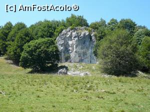[P05] Stânca ce poartă numele Piatra Mitocului » foto by Claudiu U.
 - 
<span class="allrVoted glyphicon glyphicon-heart hidden" id="av932778"></span>
<a class="m-l-10 hidden" id="sv932778" onclick="voting_Foto_DelVot(,932778,4696)" role="button">șterge vot <span class="glyphicon glyphicon-remove"></span></a>
<a id="v9932778" class=" c-red"  onclick="voting_Foto_SetVot(932778)" role="button"><span class="glyphicon glyphicon-heart-empty"></span> <b>LIKE</b> = Votează poza</a> <img class="hidden"  id="f932778W9" src="/imagini/loader.gif" border="0" /><span class="AjErrMes hidden" id="e932778ErM"></span>