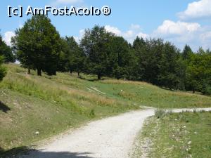 [P06] Locul unde am revenit în drumul forestier » foto by Claudiu U.
 - 
<span class="allrVoted glyphicon glyphicon-heart hidden" id="av932779"></span>
<a class="m-l-10 hidden" id="sv932779" onclick="voting_Foto_DelVot(,932779,4696)" role="button">șterge vot <span class="glyphicon glyphicon-remove"></span></a>
<a id="v9932779" class=" c-red"  onclick="voting_Foto_SetVot(932779)" role="button"><span class="glyphicon glyphicon-heart-empty"></span> <b>LIKE</b> = Votează poza</a> <img class="hidden"  id="f932779W9" src="/imagini/loader.gif" border="0" /><span class="AjErrMes hidden" id="e932779ErM"></span>