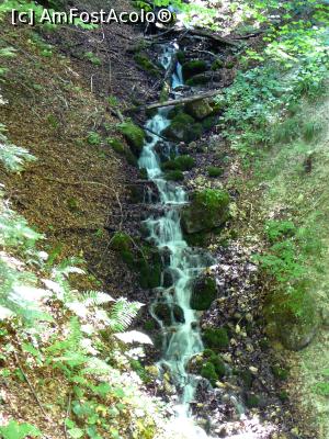 [P09] Un izvor ce l-am zărit printre copaci » foto by Claudiu U.
 - 
<span class="allrVoted glyphicon glyphicon-heart hidden" id="av932782"></span>
<a class="m-l-10 hidden" id="sv932782" onclick="voting_Foto_DelVot(,932782,4696)" role="button">șterge vot <span class="glyphicon glyphicon-remove"></span></a>
<a id="v9932782" class=" c-red"  onclick="voting_Foto_SetVot(932782)" role="button"><span class="glyphicon glyphicon-heart-empty"></span> <b>LIKE</b> = Votează poza</a> <img class="hidden"  id="f932782W9" src="/imagini/loader.gif" border="0" /><span class="AjErrMes hidden" id="e932782ErM"></span>