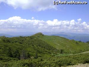 [P06]  -- <small>// FĂRĂ DESCRIERE</small> » foto by Testosu'
 - 
<span class="allrVoted glyphicon glyphicon-heart hidden" id="av633906"></span>
<a class="m-l-10 hidden" id="sv633906" onclick="voting_Foto_DelVot(,633906,4696)" role="button">șterge vot <span class="glyphicon glyphicon-remove"></span></a>
<a id="v9633906" class=" c-red"  onclick="voting_Foto_SetVot(633906)" role="button"><span class="glyphicon glyphicon-heart-empty"></span> <b>LIKE</b> = Votează poza</a> <img class="hidden"  id="f633906W9" src="/imagini/loader.gif" border="0" /><span class="AjErrMes hidden" id="e633906ErM"></span>