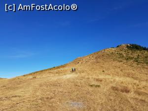 [P18] Priveliști de toamnă în Munții Ciucaș.  » foto by Floryn81
 - 
<span class="allrVoted glyphicon glyphicon-heart hidden" id="av1121428"></span>
<a class="m-l-10 hidden" id="sv1121428" onclick="voting_Foto_DelVot(,1121428,4696)" role="button">șterge vot <span class="glyphicon glyphicon-remove"></span></a>
<a id="v91121428" class=" c-red"  onclick="voting_Foto_SetVot(1121428)" role="button"><span class="glyphicon glyphicon-heart-empty"></span> <b>LIKE</b> = Votează poza</a> <img class="hidden"  id="f1121428W9" src="/imagini/loader.gif" border="0" /><span class="AjErrMes hidden" id="e1121428ErM"></span>