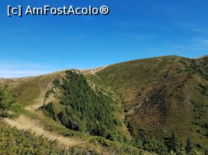 [P25] Toamna în Munții Ciucaș.  » foto by Floryn81
 - 
<span class="allrVoted glyphicon glyphicon-heart hidden" id="av1121440"></span>
<a class="m-l-10 hidden" id="sv1121440" onclick="voting_Foto_DelVot(,1121440,4696)" role="button">șterge vot <span class="glyphicon glyphicon-remove"></span></a>
<a id="v91121440" class=" c-red"  onclick="voting_Foto_SetVot(1121440)" role="button"><span class="glyphicon glyphicon-heart-empty"></span> <b>LIKE</b> = Votează poza</a> <img class="hidden"  id="f1121440W9" src="/imagini/loader.gif" border="0" /><span class="AjErrMes hidden" id="e1121440ErM"></span>