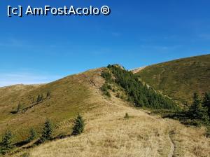 [P26] Pe traseu, spre Vârful Gropșoarele.  » foto by Floryn81
 - 
<span class="allrVoted glyphicon glyphicon-heart hidden" id="av1121441"></span>
<a class="m-l-10 hidden" id="sv1121441" onclick="voting_Foto_DelVot(,1121441,4696)" role="button">șterge vot <span class="glyphicon glyphicon-remove"></span></a>
<a id="v91121441" class=" c-red"  onclick="voting_Foto_SetVot(1121441)" role="button"><span class="glyphicon glyphicon-heart-empty"></span> <b>LIKE</b> = Votează poza</a> <img class="hidden"  id="f1121441W9" src="/imagini/loader.gif" border="0" /><span class="AjErrMes hidden" id="e1121441ErM"></span>